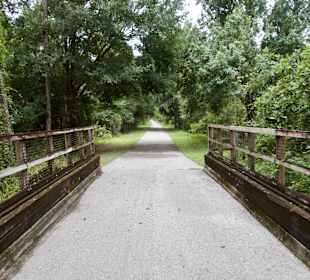 Van Fleet Trail - Polk City Trailhead