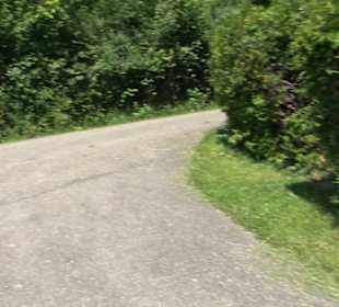 HAP Grieshaber Rundweg