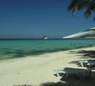 White Beach mit Grünalgen