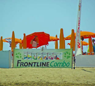 Strand von Bibione 06-2010