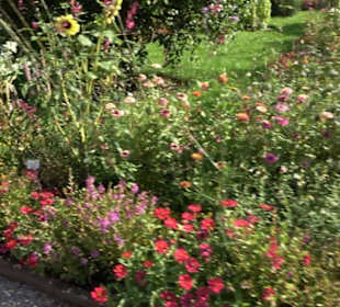 Botanischer Garten München