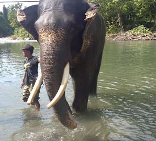 Ich bin der Schönste