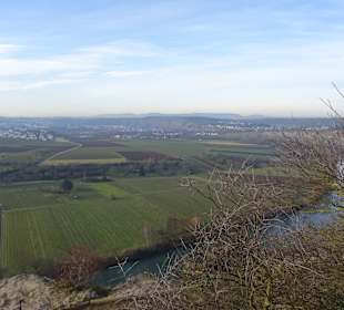 Aussichtspunkt Schönste Weinsicht Württemberg 2016