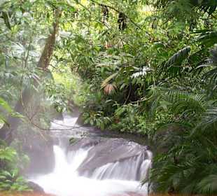 Tabacon Hot Springs
