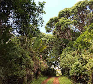 Le terres des (sept) couleures