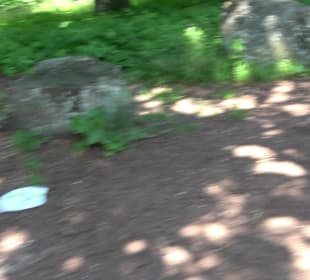 Ruine Stephanskloster