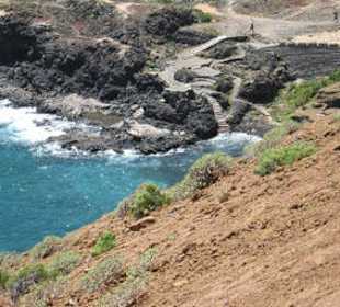 Amarilla Bucht