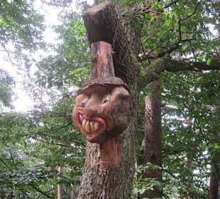 Auf dem Weg zur Landauer Hütte