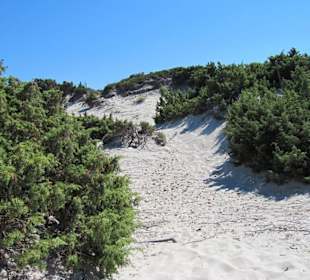 Le dune
