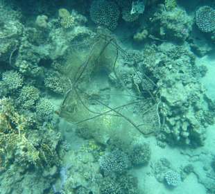 Überreste einer Fischerreuse