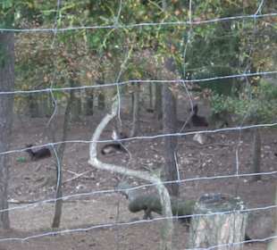 Erlebnisbauernhof und Wildgehege