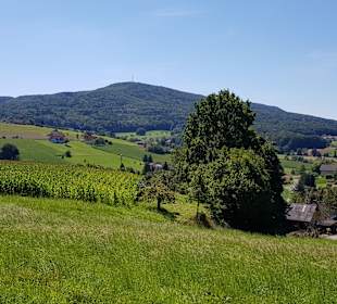 Wandern Bad Gleichenberg
