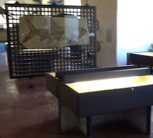 Jura-Museum
