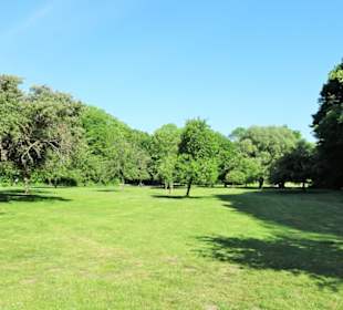 Eindrücke aus dem Hinüberschen Garten