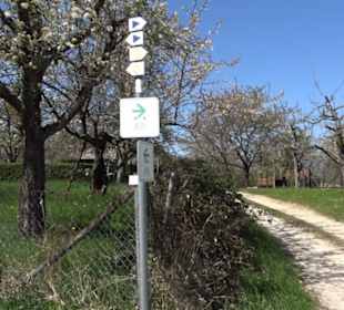 Wanderung Florianrunde