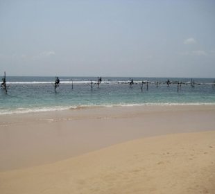 Stelzenfischer bei Kogalla