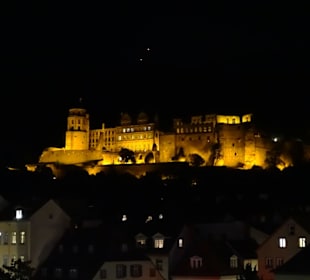 Das Heidelberger Schloss