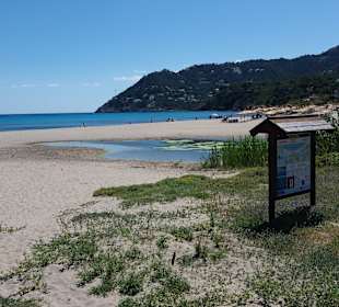 Strand Canyamel