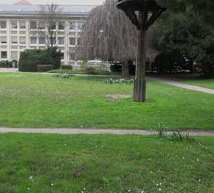 New Britain Park Rastatt