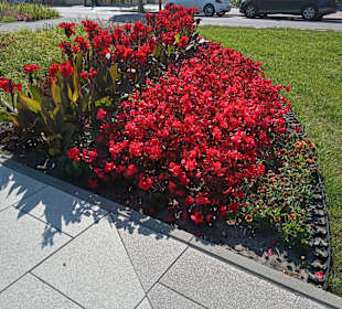 Wandern Swinoujscie/Swinemünde