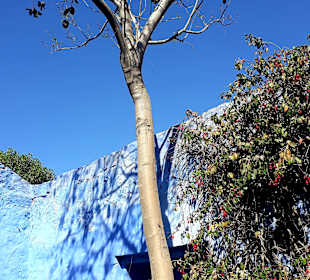 Santa Catalina Kloster