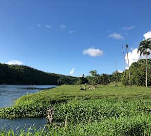 Tour & Ausflug Bayahibe