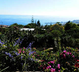 Pohled z botanické zahrady