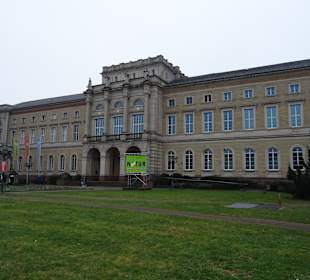 Staatliches Naturkunde Museum