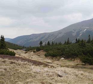 Berg Schneekoppe/Śnieżka
