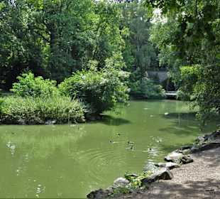 Spaziergang durch den Tierpark Röhrensee