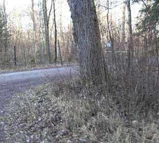 Ochsenweiher Rundweg