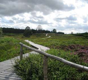 Naturpark Hohes Venn