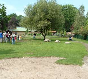Freizeitpark