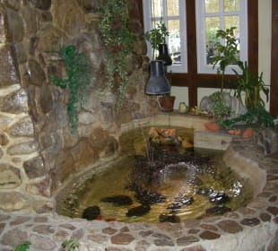 Brunnen 