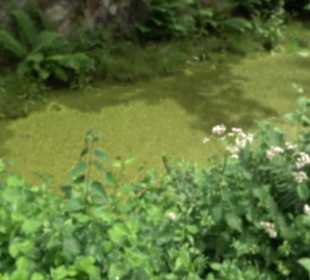 Wanderweg Märchensee Runde