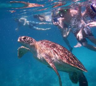 Schnorcheltrip zu Similan Islands