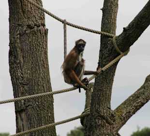 Serengeti Park Hodenhagen