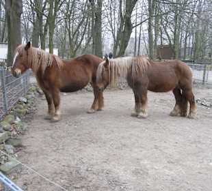 Tierpark 