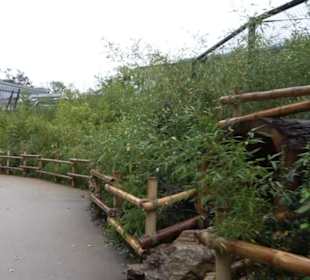 Regenwaldhaus