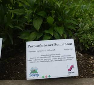Kräutergarten