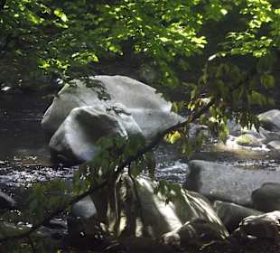 Die Bode