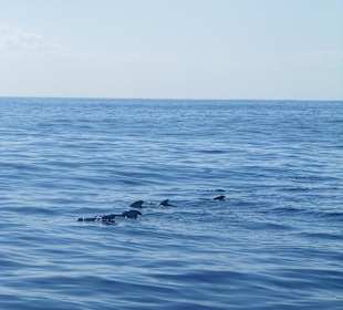 Widoki w trakcie rejsu