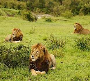 Mittagsruhe, bitte nicht stören