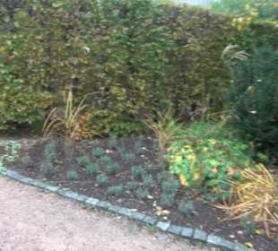 Kloster Heiligenbronn