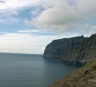 Los Gigantes
