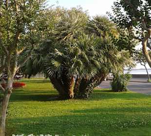 Schön angelegter Park an der Uferpromenade