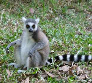 Da braucht man keinen Sessel!