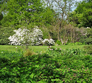 Eindrücke vom Rundgang durch den Berggarten