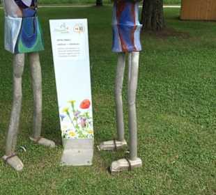 Blühendes Neresheim 2021