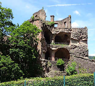 Schloss Heidelberg und Umgebung